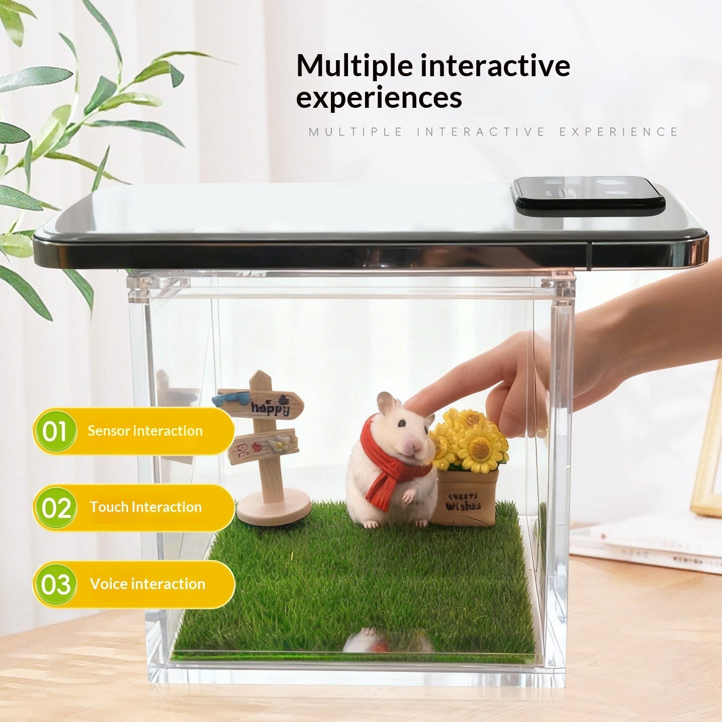Pet Holographic Memorial Display