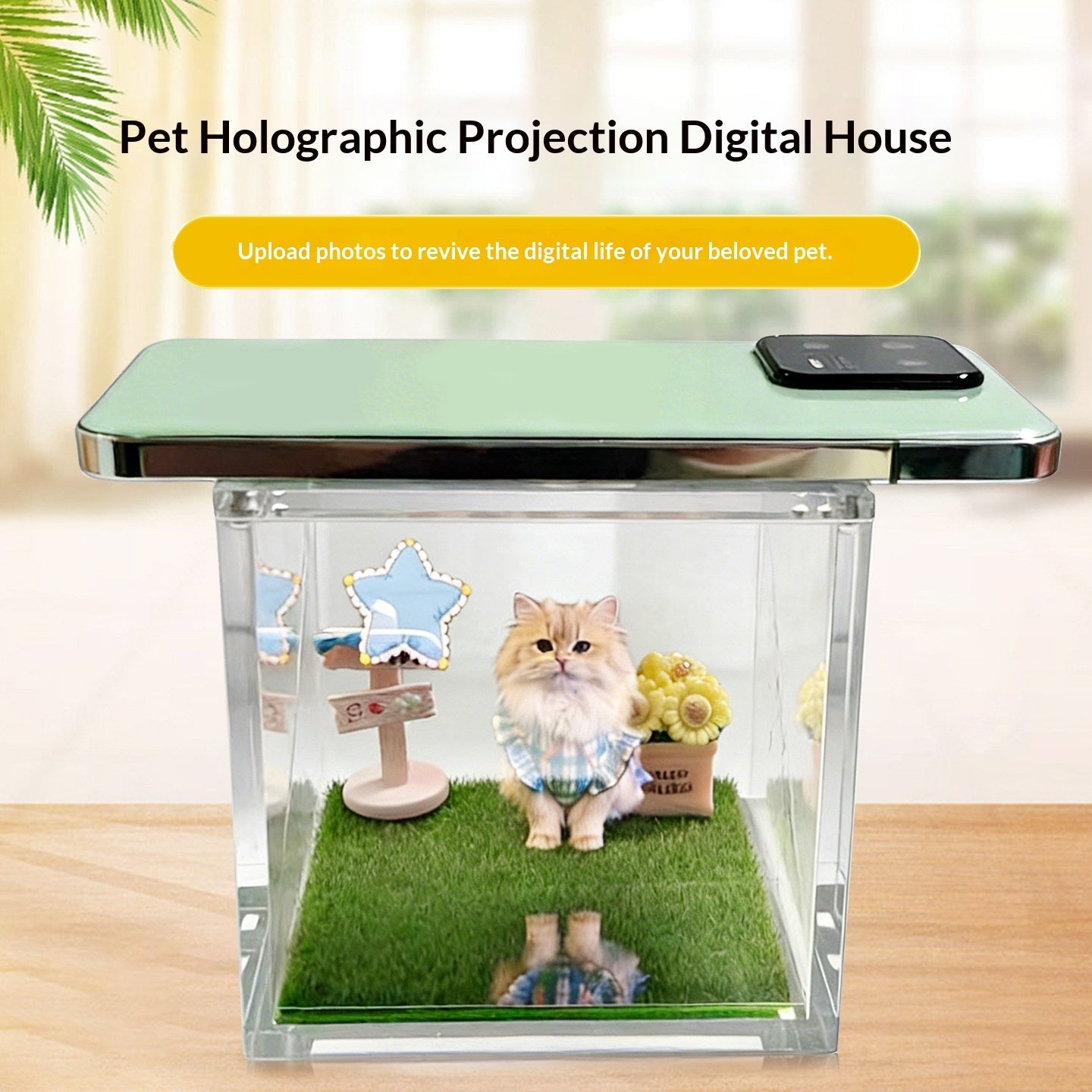 Pet Holographic Memorial Display