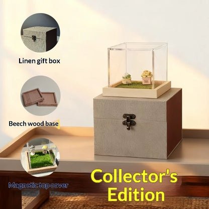 Pet Holographic Memorial Display